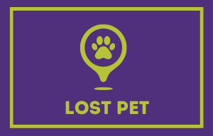 Lost Pets